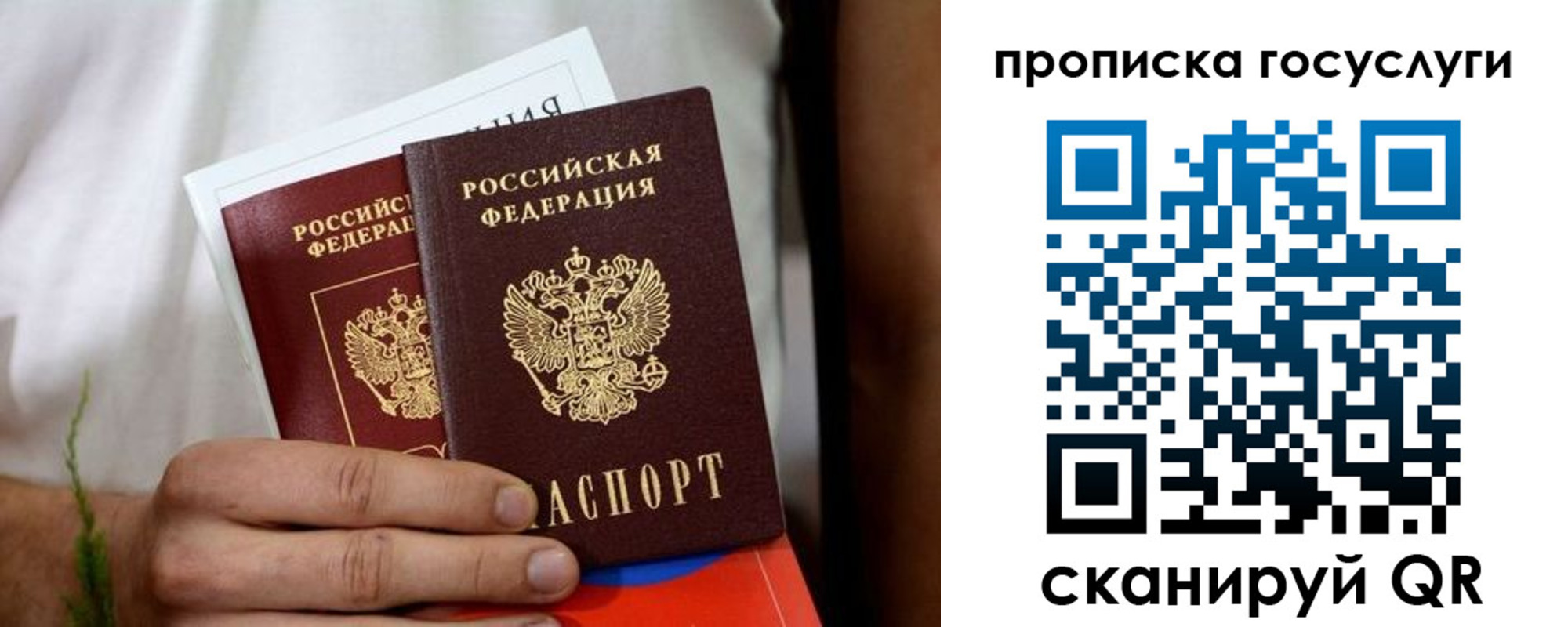 прописка регистрация в Сельцо
